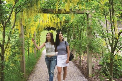 Dublin to Rock of Cashel, Cork City & Blarney Castle Guided Tour