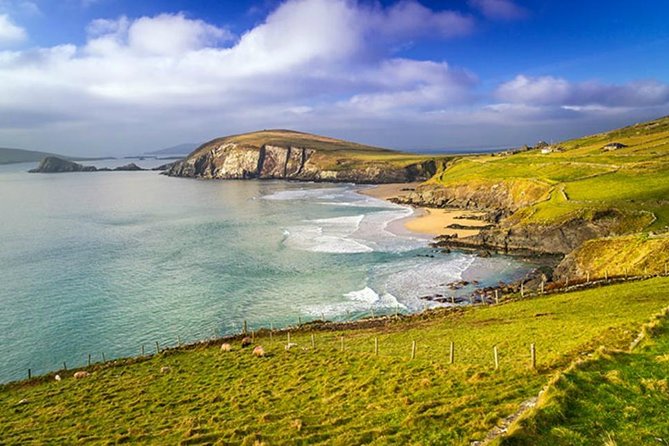 Dublin to South West 5 Day Small-Group Tour with Accommodation - Why a small coach makes Irish roads easier