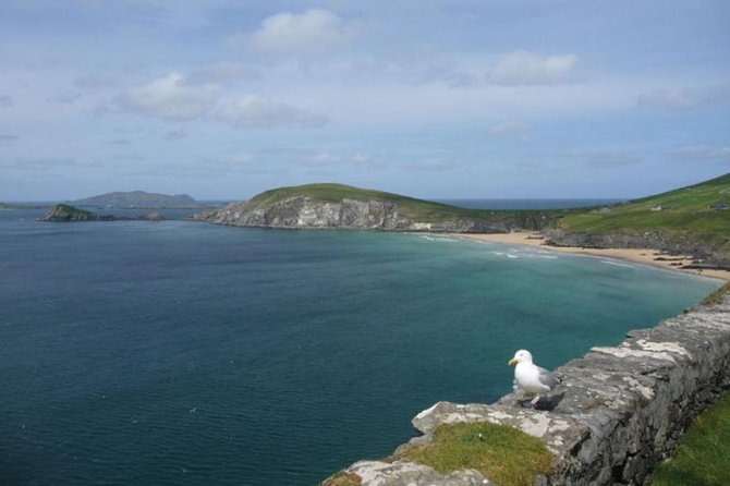 Dublin to South West 5 Day Small-Group Tour with Accommodation - Who should book this five-day route