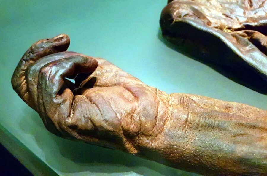 Dublin: Treasures of Ireland Museums Private Tour - Who will get the most from this tour