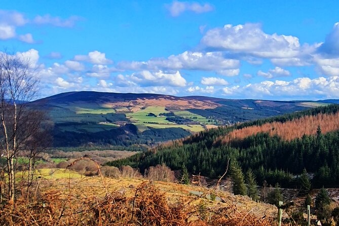 Dublin & Wicklow Mountain Pub Tour small group tour max 15 people - Roundwood: a village pause in the Wicklow Mountains