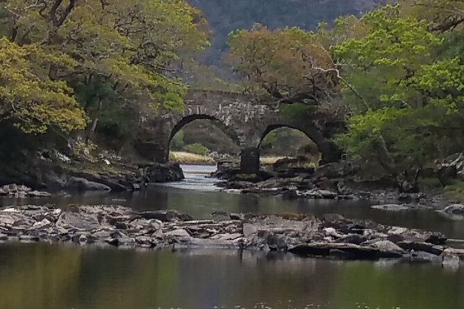 Early morning Excursion or Evening Bespoke Tour - Why this Killarney boat trip is different