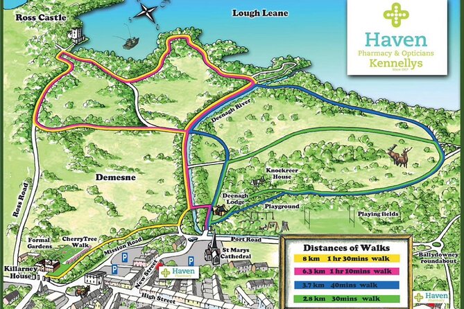 Early morning Excursion or Evening Bespoke Tour - Weather, timing, and cancellation details