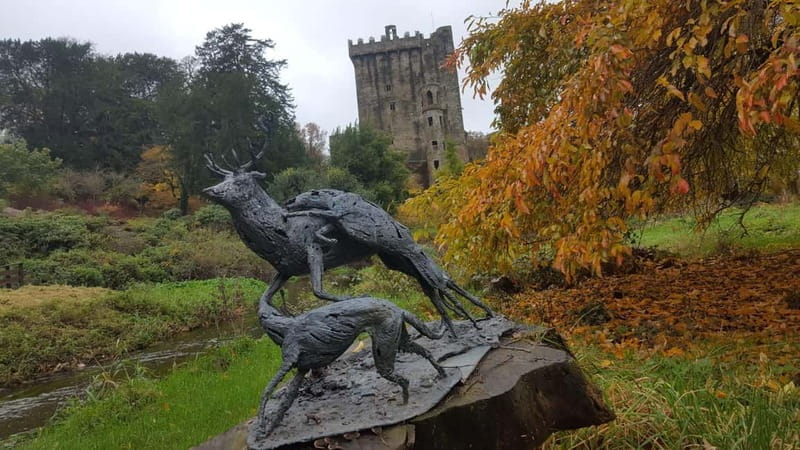 Easy Access - The Blarney Stone & Castle Gardens Tour - Kissing the Blarney Stone