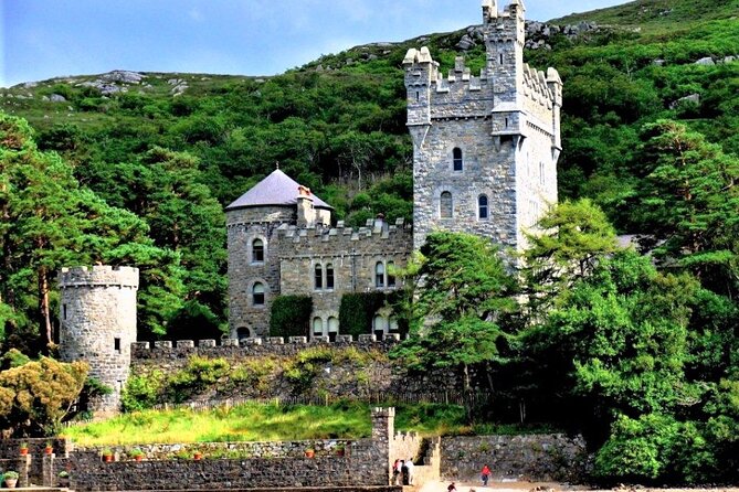 eBiking Glenveagh National Park. Donegal. Self guided. 3 hours. - Glenveagh’s plants and wildlife