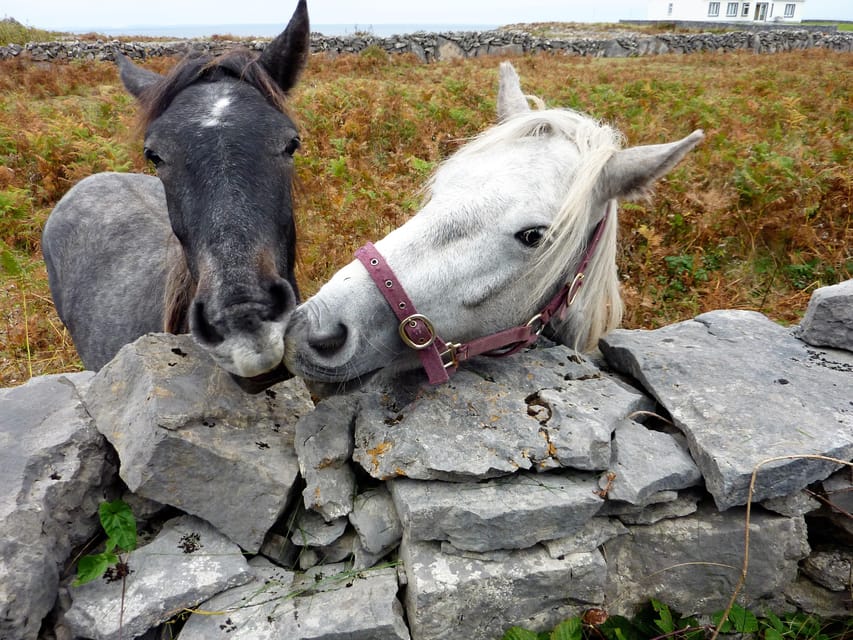 Ebiking on Inishmore island. Aran islands. Self-guided - What the $79 price really covers
