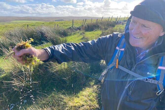 Erris Head Guided Walking Tour (AlchemyTours.ie) - Illandavuck, Fulmars, and the Top of Erris Head