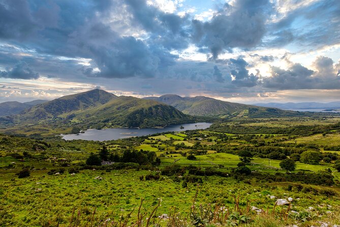 Exclusive Private Ring of Beara Tour from Killarney - Glengarriff Woods and an easy riverside walk