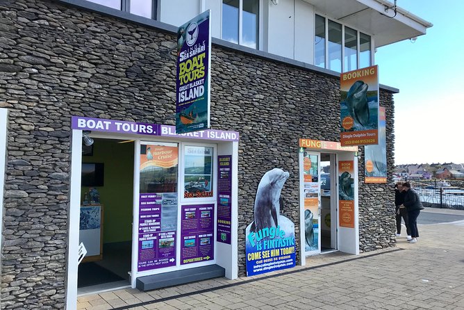 Exhilarating Rib experience - Dingle sea safari - Seeing the Dingle cliffs from ocean level