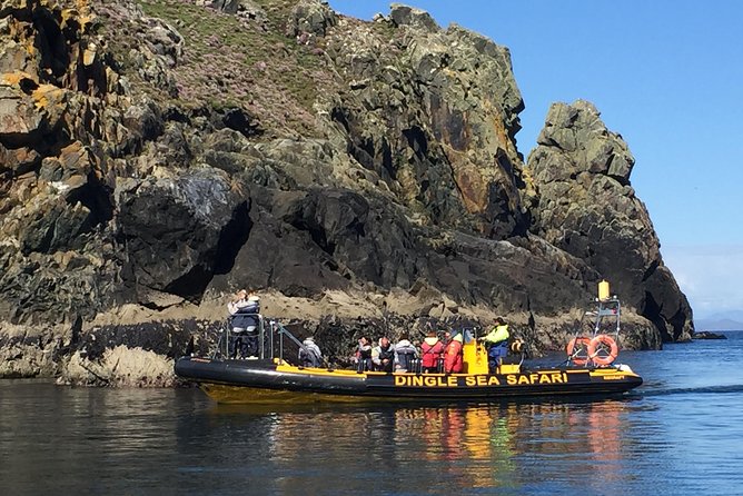 Exhilarating Rib experience - Dingle sea safari - Wildlife around the Blasket Islands