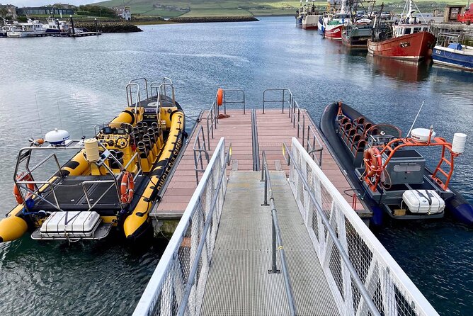 Exhilarating Rib experience - Dingle sea safari - A captain-led look at Dingle and the Blaskets