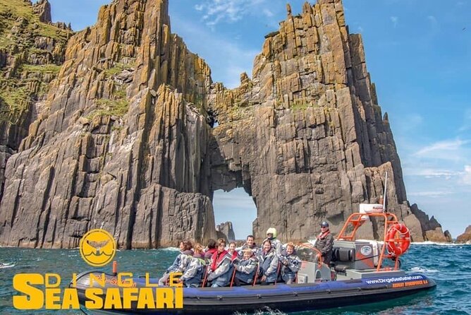 Exhilarating Rib experience - Dingle sea safari - How much value do you get for $120.93?