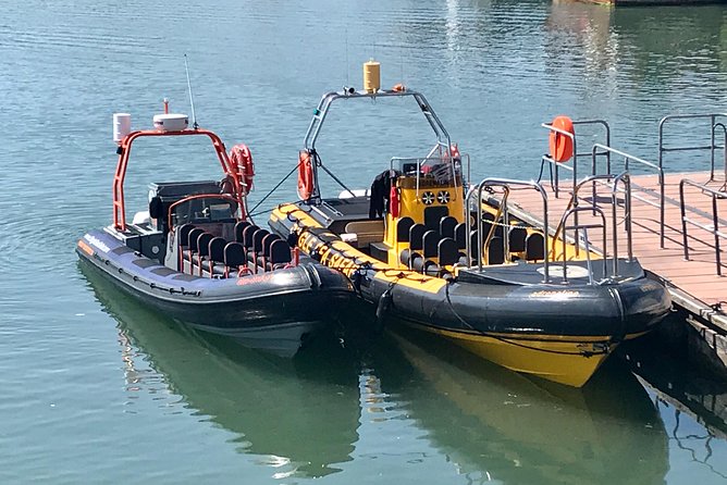 Exhilarating Rib experience - Dingle sea safari - Weather, comfort, and seasickness