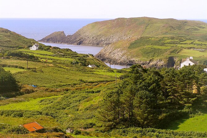 Fastnet Rock Lighthouse & Cape Clear Island Tour from Schull West Cork - What the ferry service includes