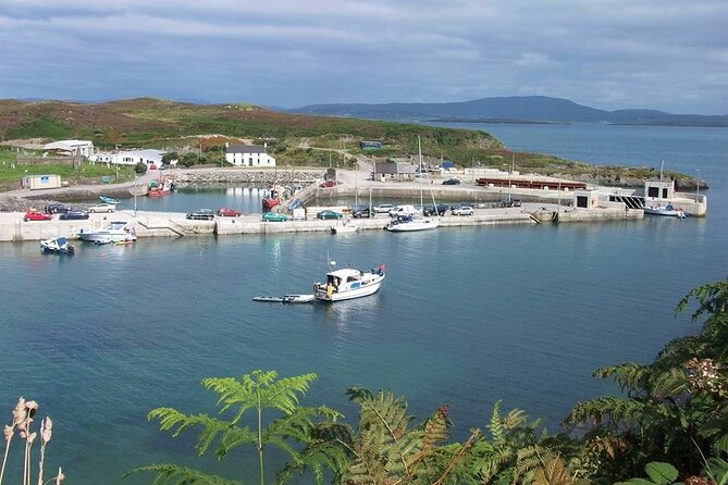 Fastnet Rock Lighthouse & Cape Clear Island Tour from Schull West Cork - Is the $91.40 price good value?