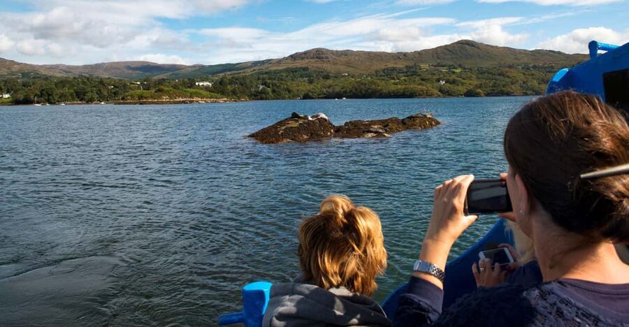 Fastnet Rock Lighthouse direct boat tour-Baltimore.Guided. - Key points before you book