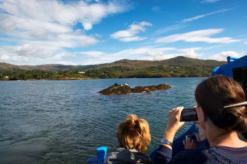 Fastnet Rock Lighthouse direct boat tour-Baltimore.Guided. - Why Fastnet Rock matters