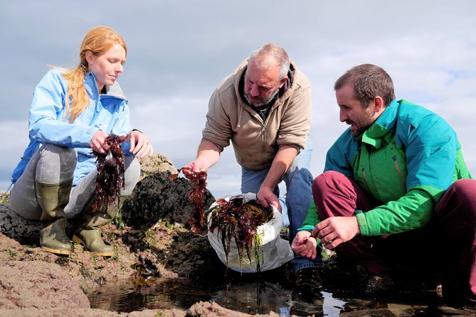 Food, heritage & cultural tour Inishmore, Aran Islands. Guided. - Kilmurvey for crafts, coffee, and a slower hour
