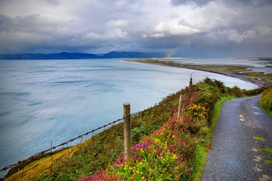 From Cork: 9-Hour Guided Ring of Kerry and Killarney Tour - Moll’s Gap, the Black Valley, and Ladies View