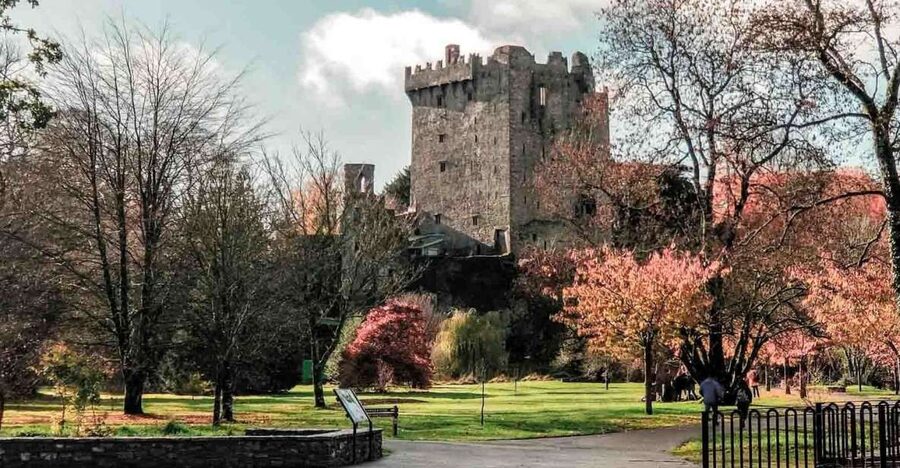 From Cork: County Cork Highlights Tour with Entrance Tickets - Key points before you book