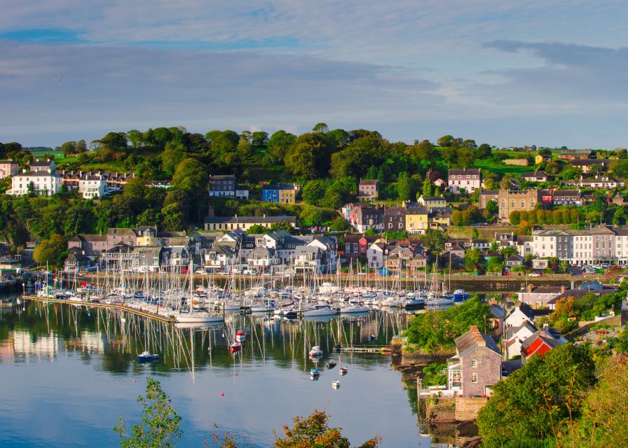 From Cork: County Cork Highlights Tour with Entrance Tickets - Who will get the most from this tour