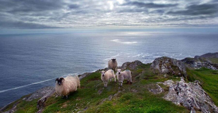 From Cork: Guided Full-Day West Cork to Mizen Head Tour - Leaving Cork for West Cork