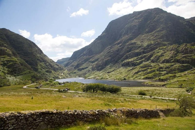 From Cork: Ring of Kerry & Killarney Guided Full Day Tour - What the guide adds to the long drive