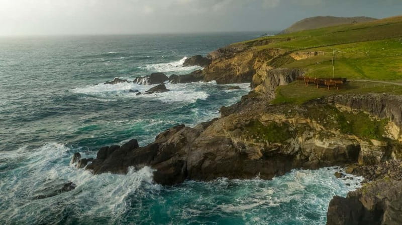 From Cork: Ring of Kerry & Killarney Guided Full Day Tour - Starting beside Mary Elms Bridge in Cork