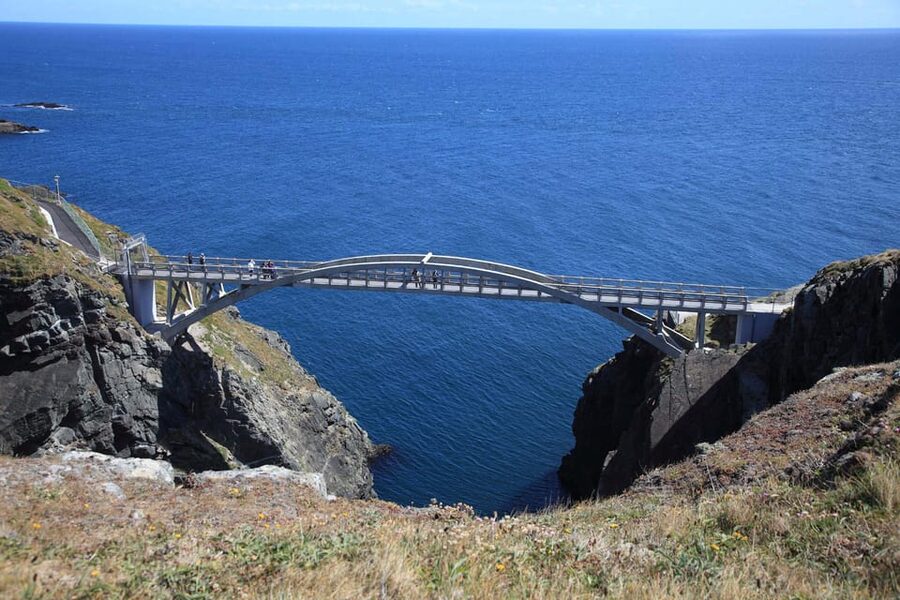 From Cork: West Cork to Mizen Head Guided Full Day Tour - Who should choose this tour?