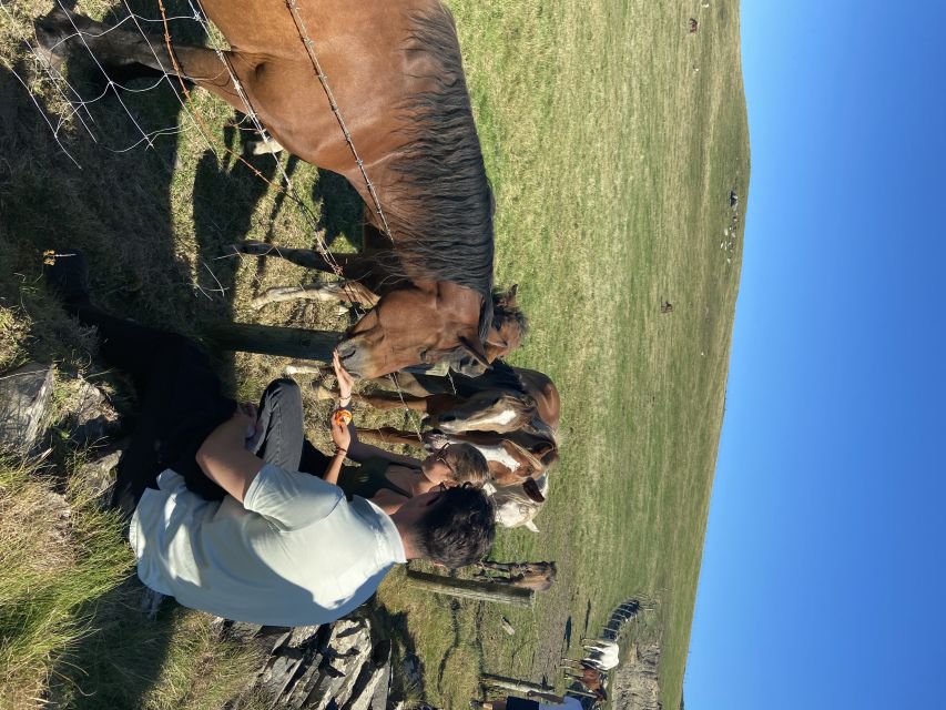 From Doolin: Cliffs of Moher Guided Coastal Walk - Views of Doolin, the Aran Islands, and Galway Bay