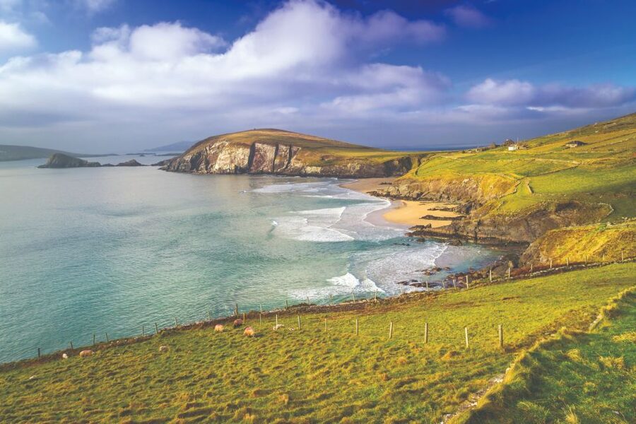 From Dublin: 3-Day Dingle, Killarney & the Wild Atlantic Way - Key things to know before booking