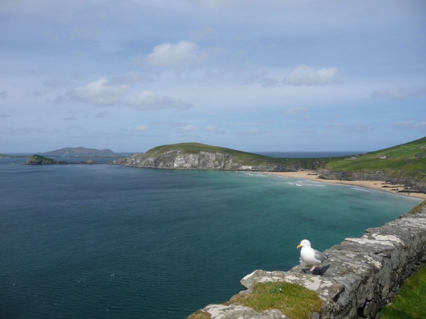 From Dublin: 5-Day Tour to the Southwest with Accommodation - What the $1,290 price includes