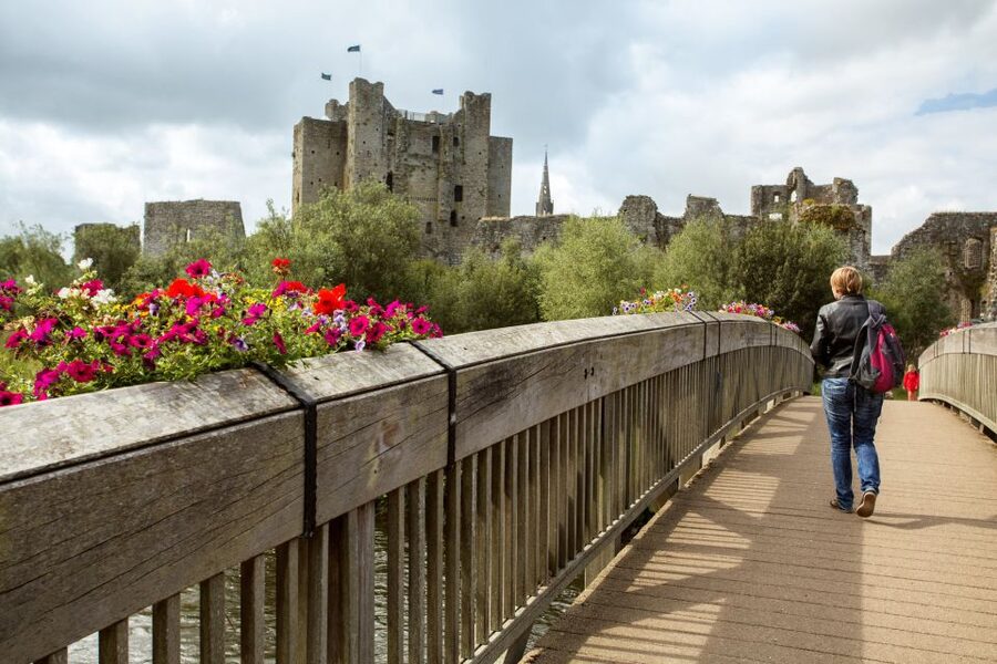 From Dublin: Celtic Boyne Valley and Ancient Sites Tour - Fore Distillery, tasting, and lunch
