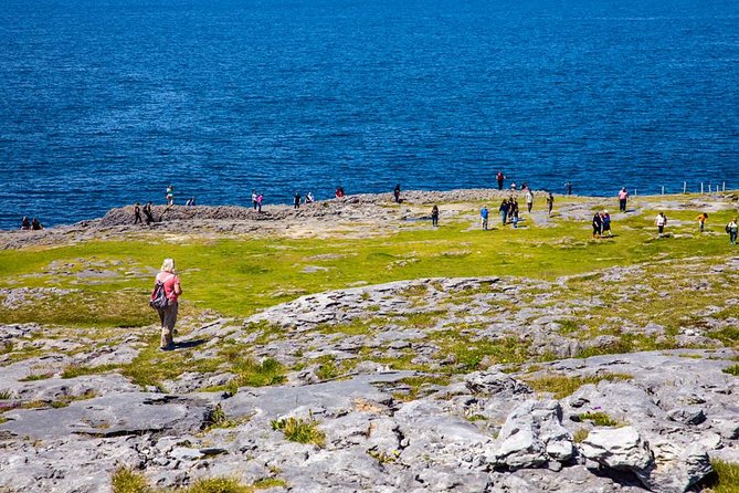 From Dublin: Cliffs of Moher, Bird of Prey & Aillwee Cave - Seeing the Cliffs of Moher from the Atlantic