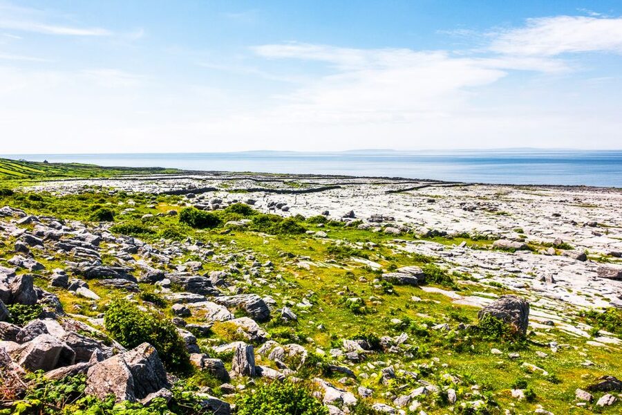From Dublin: Cliffs of Moher, Burren & Galway City Day Tour - Two hours in Galway City