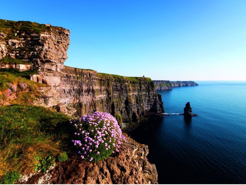 From Dublin: Cliffs of Moher Small Group Tour - The Cliffs of Moher with 90 minutes to explore