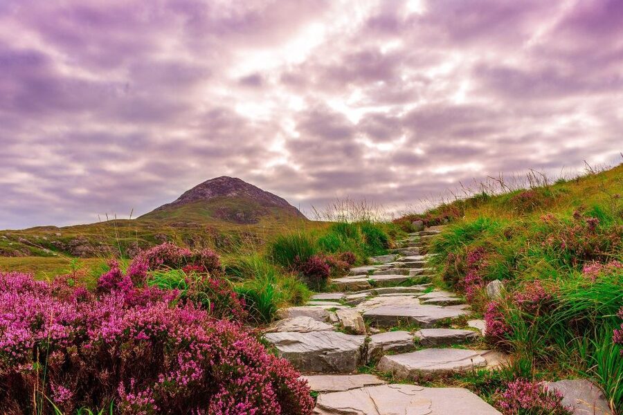 From Dublin: Connemara and Galway Bay Day Tour - Is $158 a fair price?
