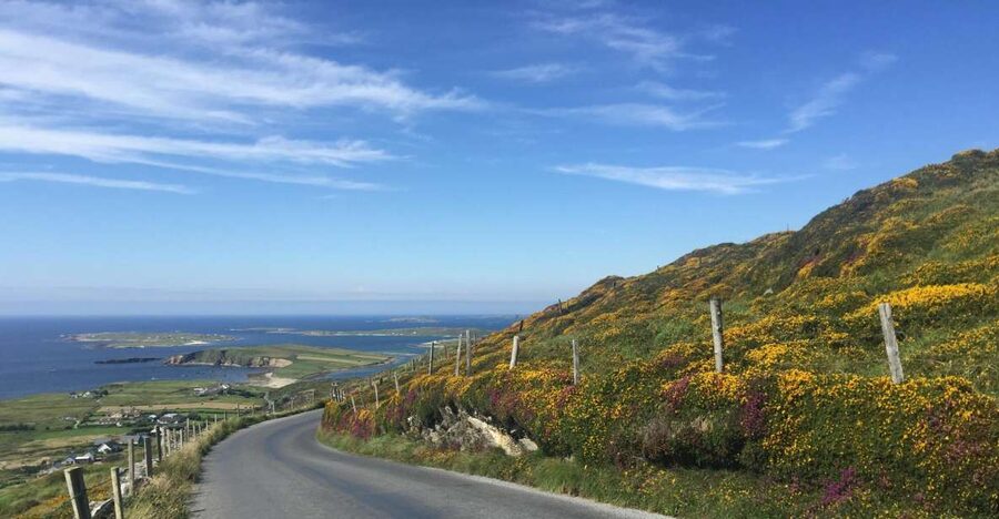 From Dublin: Connemara and Galway Bay Day Tour - Why this Dublin day trip works