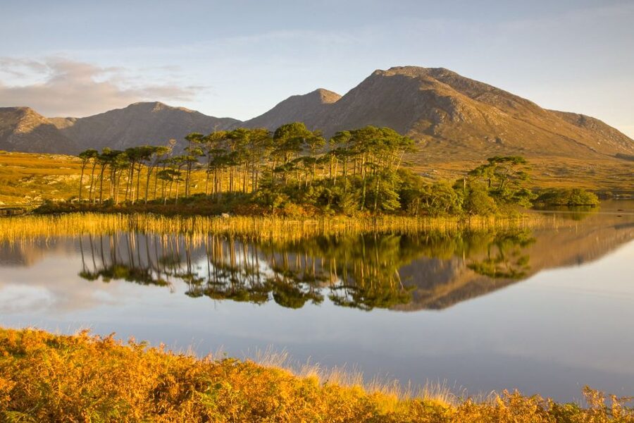 From Dublin: Connemara and Galway Full-Day Tour - Two hours in Galway, used wisely