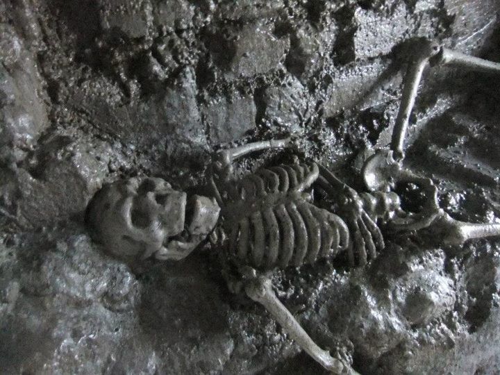 From Dublin: Gravedigger Ghost Bus Tour - The guides make or break the night