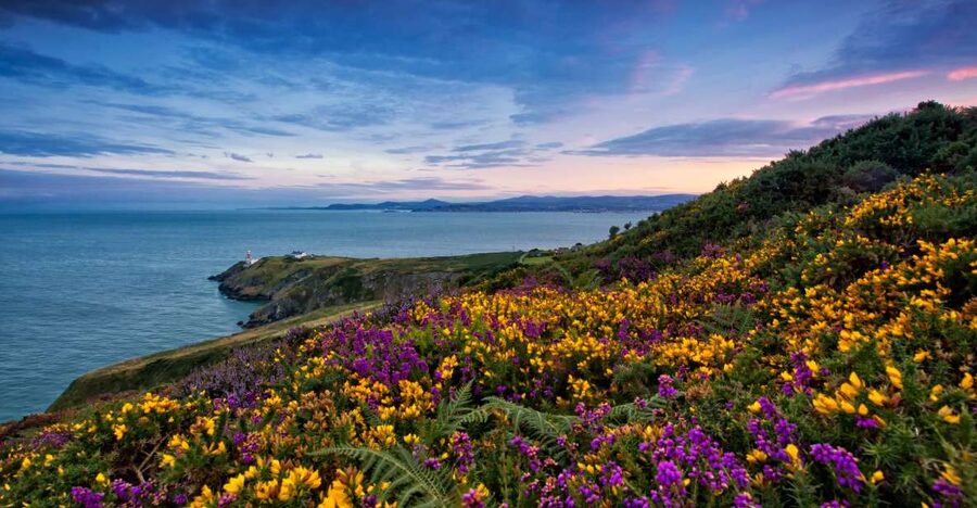 From Dublin: Half-Day Guided Coastal Tour to Howth Village - Howth in four hours: the key points
