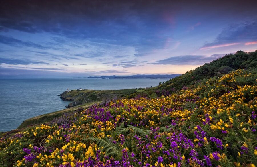 From Dublin: Half-Day Guided Coastal Tour to Howth Village - Leaving Dublin from O’Connell Street
