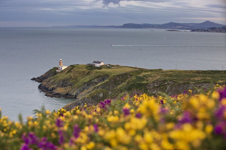 From Dublin: Half-Day Guided Coastal Tour to Howth Village - Howth Village, seafood, and St. Mary’s Abbey