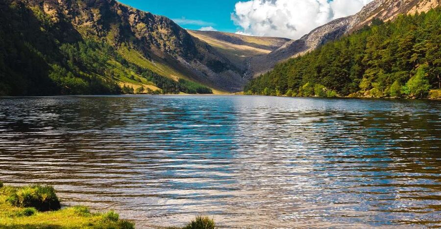 From Dublin: Half-Day Trip to Glendalough and Wicklow - Wildlife, film locations, and small surprises