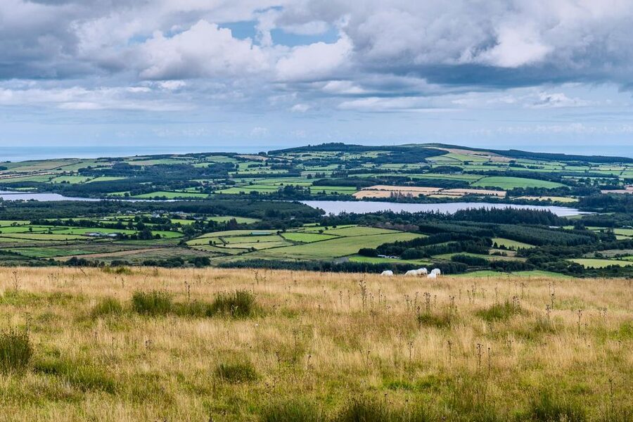 From Dublin: Wicklow Mountains, Glendalough & Kilkenny Tour - Should you book the Wicklow and Kilkenny tour?