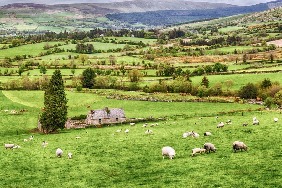 From Dublin: Wicklow Mountains, Glendalough & Kilkenny Tour - Who should take this tour?