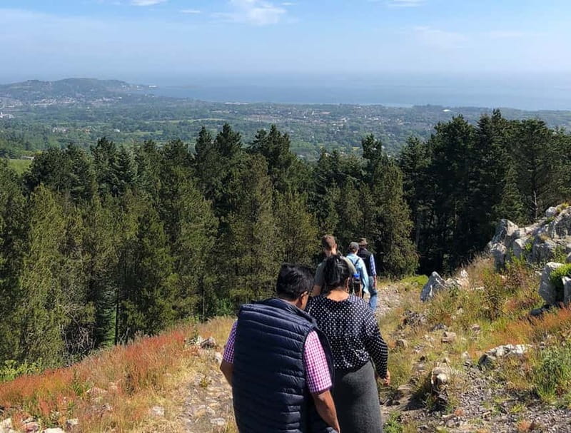 From Dublin: Wicklow, Powerscourt, and Glendalough Day Tour - A small van or coach changes the feel
