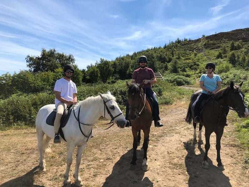 From Dublin: Wicklow, Powerscourt, and Glendalough Day Tour - Who should book this Wicklow day tour?