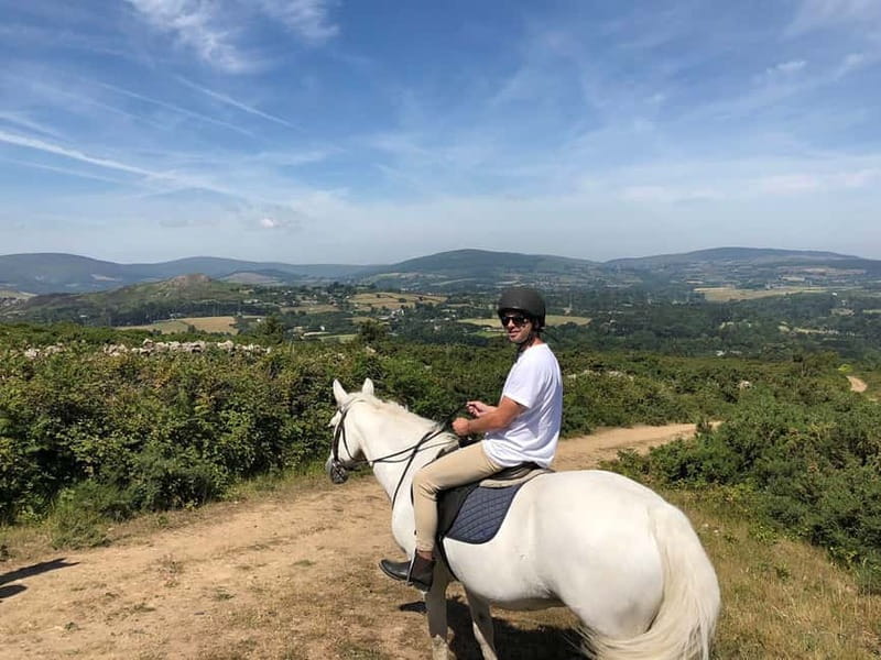 From Dublin: Wicklow, Powerscourt, and Glendalough Day Tour - Enniskerry gives you time to eat