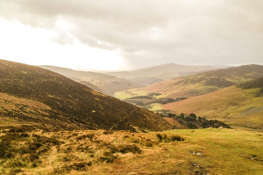 From Dublin: Wild Wicklow Mountains and Glendalough Tour - Sally Gap and the Wild Wicklow mountain roads